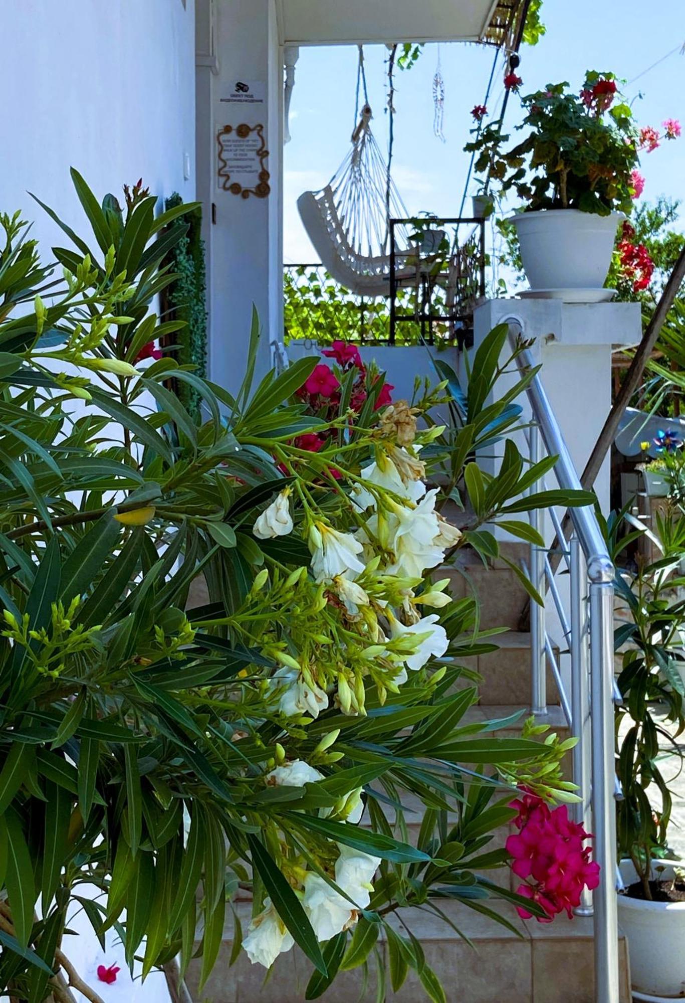 Guest House Hei Taka Sozopol Exteriér fotografie